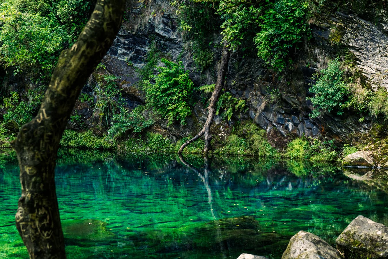New Zealand, Summer (Digital)