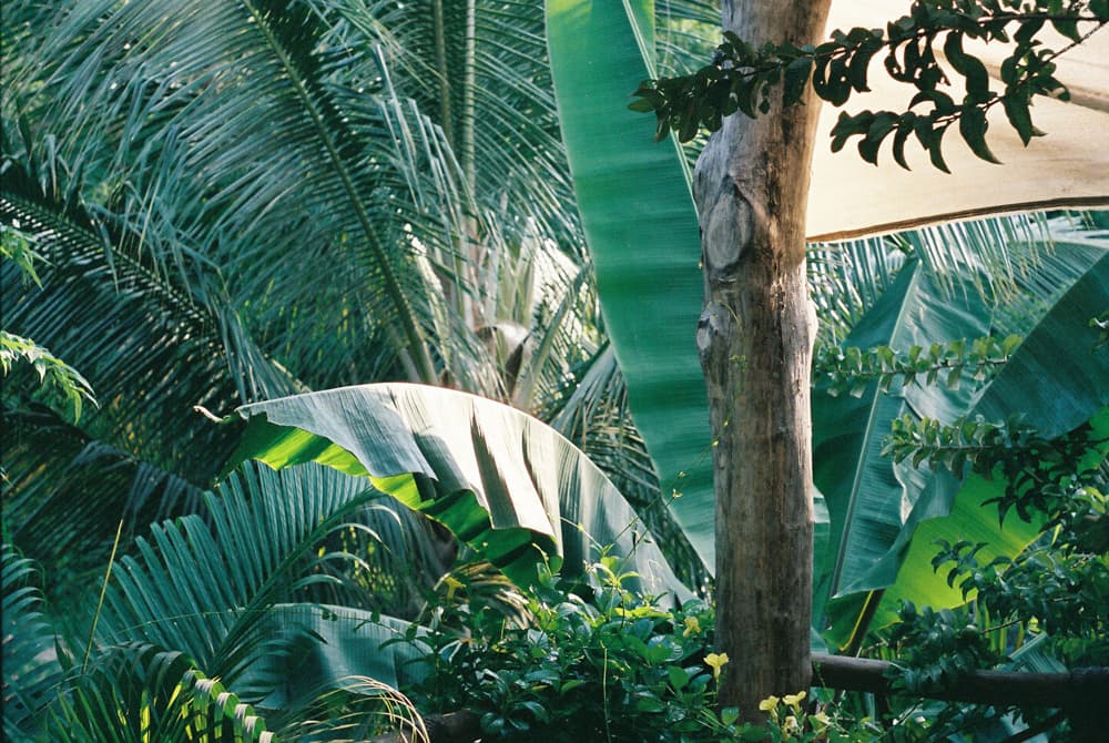 Mexico, Summer (Film)