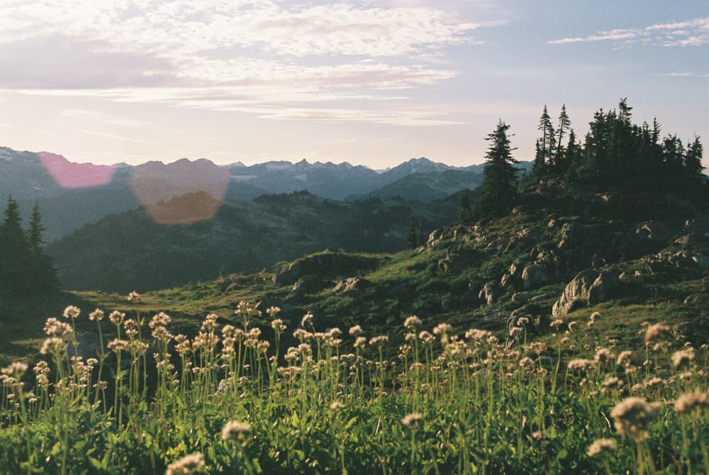 Canada, Summer (Film)