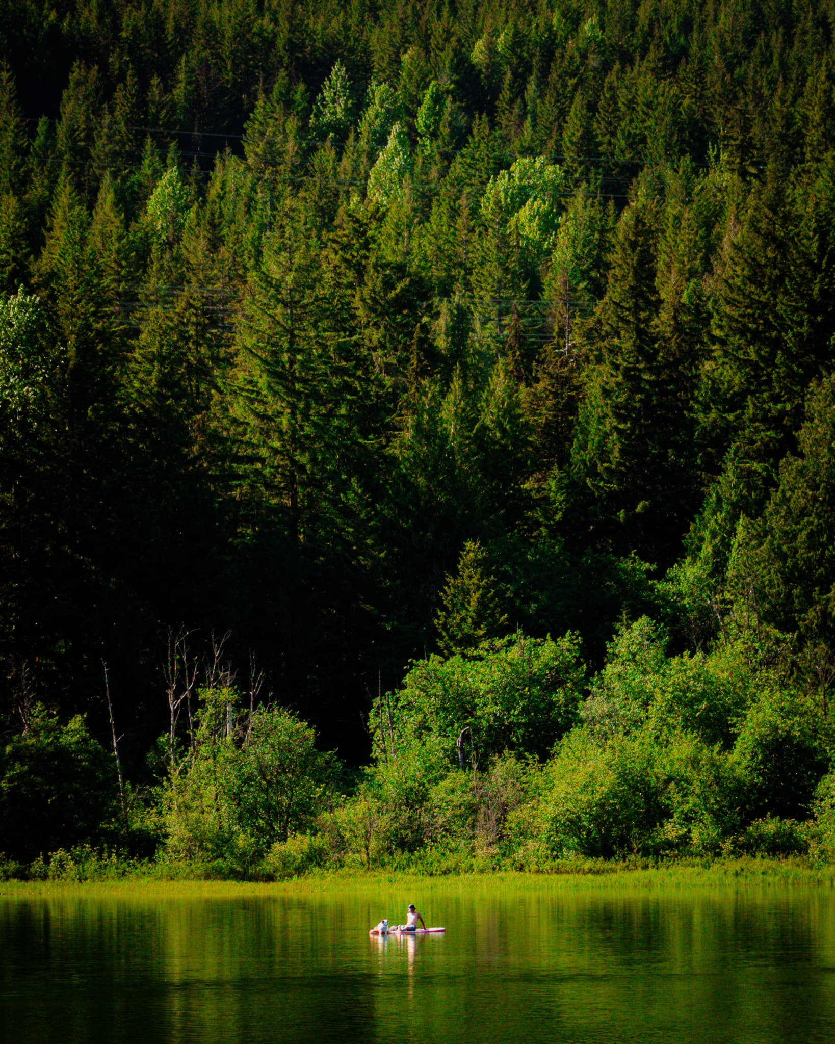 Canada, Summer (Digital)